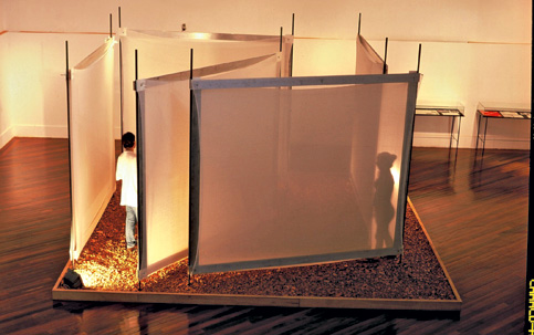 helio oiticica
